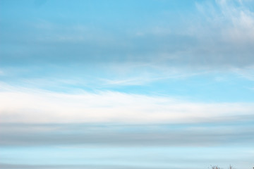 Fototapeta premium gentle clouds in the sky