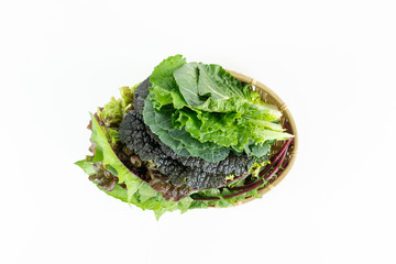 맛있는 쌈채소,신선한 유기농 식물