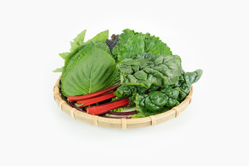 맛있는 쌈채소,신선한 유기농 식물