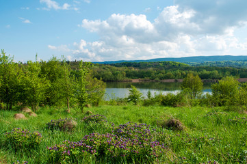 Fototapeta na wymiar Spring panorama of a forest lake against a background of blue sky and distant mountains