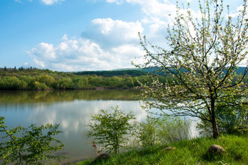 Spring panorama of a forest lake against a background of blue sky and distant mountains