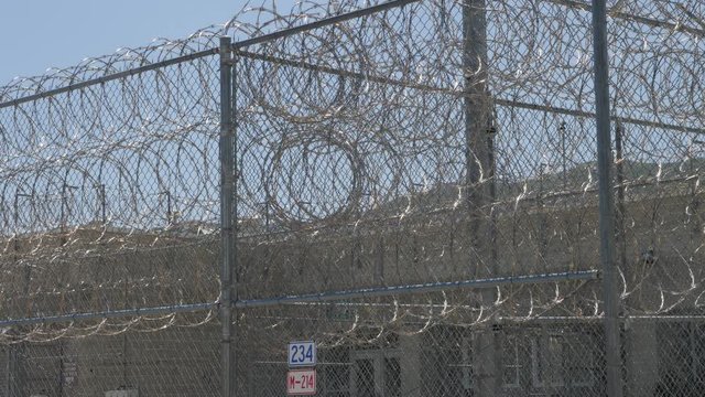 Thick razor wire on a prison fence.