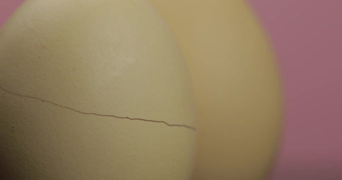 Hatching egg. Eggshell splitting on pink background. Hope coming out concept