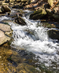 Fototapeta na wymiar Running Creek Water Blurred