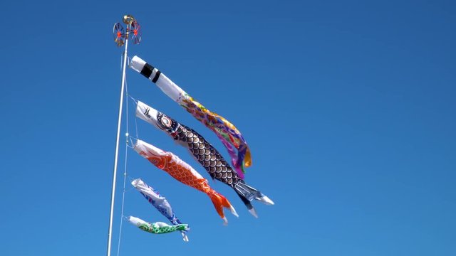 気持ちよさそうに青空を泳ぐ鯉のぼり
