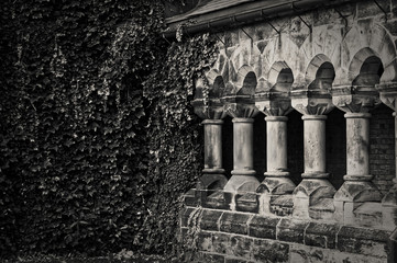 Toronto, Canada - 20 10 2018: Green branches and leaves of ivy covering the wall step by step conquer ancient stone colonnade of the historic Hart House building in the University of Toronto.