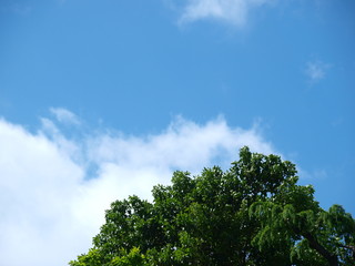 Obraz premium blue sky