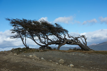 Extreme wind in South Patagonia