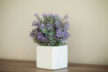 Fototapeta premium Spa. Succulent plant on window ledge in modern bathroom