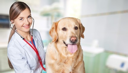 Beautiful young veterinarian with a dog on a white background