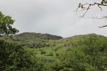 Obraz premium Loch Lomond, Scotland