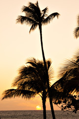 View of sunset in Hawaii