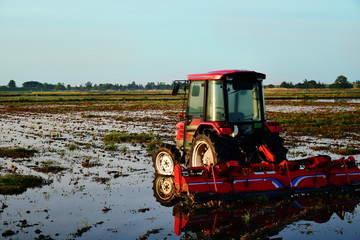 Tractor in the field in the morning