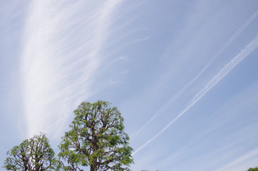 初夏の風に流れる雲