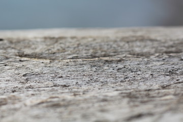 wood texture