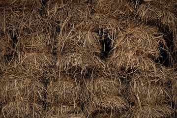 Bale straw for cow food background texture
