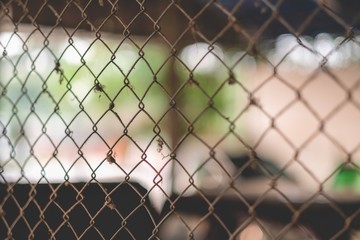 Closeup old iron cage