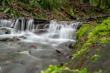 Obraz premium waterfall in forest