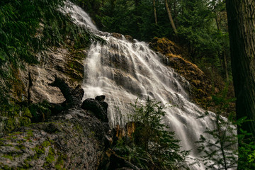 Obraz premium waterfall in forest