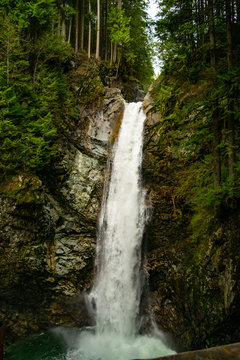 waterfall in forest © Ryan