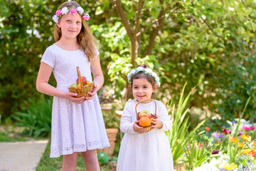 Harvest. Shavuot. Two cute smiling little girls holds basket with fruits at the farm. Portrait adorable small kids outdoor.