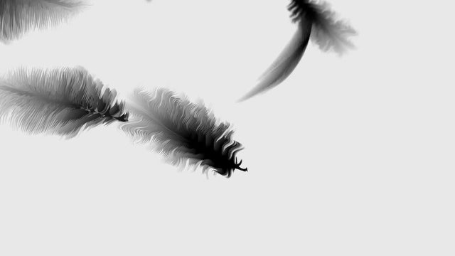 4K Abstract futuristic background of slowly falling black and white bird feathers