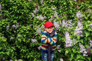Cute boy in spring garden with blooming lilac . Children's walks in the fresh air
