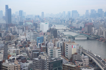 Fototapeta premium 東京・隅田川
