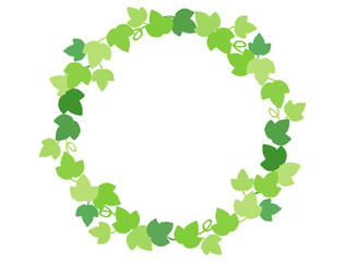 つた4　フレーム