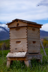Beehive