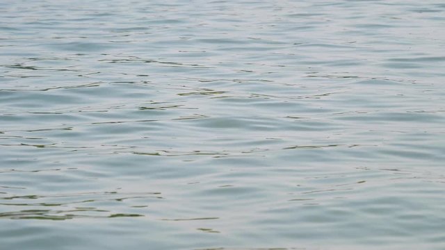 Close up of the calm blue water of west lake. 4K movie, Slow motion, blur water background.