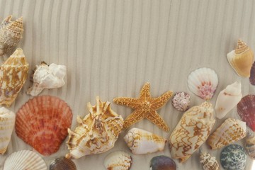 Summer Mockup.Sea Beach Mockup.sandy frame with a  dry starfish, shells on a wavy sandy background.Summer sea vacation background.top view, copy space.summer Sea Flat lay.