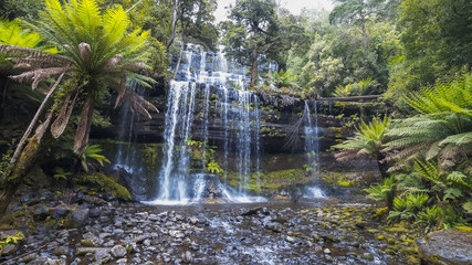 wide view of russell falls at mt field national park in tasmania