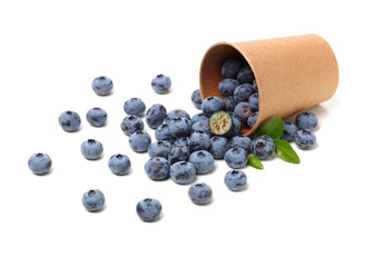 Blueberry on a white background