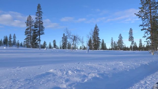 point of view shot from a sledge sliding through a snowy landscape in Lapland during a nice sunny day.
