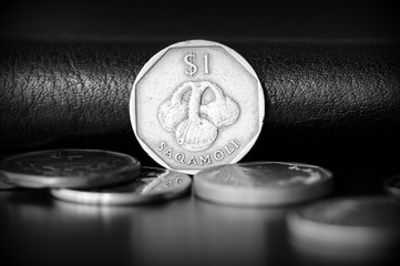 One fijian dollar on a dark background close up. Black and white