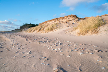 Very beautiful view of the sea coast. Coast of the Baltic Sea at sunset. Steep shore, sand, stones.