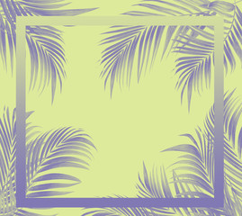 Fototapeta na wymiar frame picture with green leaf of palm tree background