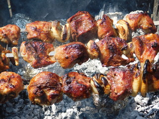  shish kebab on skewer grilled