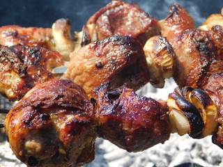  shish kebab on skewer grilled