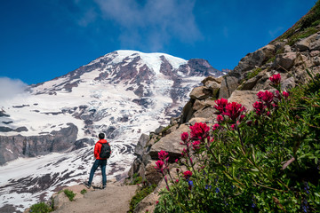 Fototapeta premium Beautiful wildflowers and Mount Rainier, Washington state