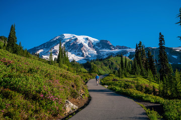 Beautiful wildflowers and Mount Rainier, Washington state