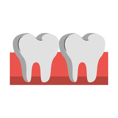 Teeth in gum dental care