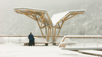 people walk during snowfall