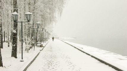 spring snowfall in Siberia