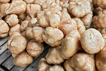 Close-up of a bunch of brown colored turnip vegetables lying on a bamboo table for sale at a local farm market in the Philippines