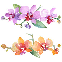 Orchid bouquets floral botanical flowers. Watercolor background illustration set. Isolated orchid illustration element. © yanushkov
