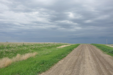 Fototapeta na wymiar Grey Sky and Dirt Road Straight H