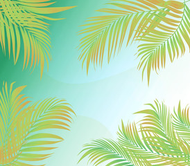 Fototapeta na wymiar Gradient color palm leaf frame for illustration abstract background
