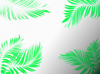 Fototapeta na wymiar watercolor green leaves of palm tree on white for summer background